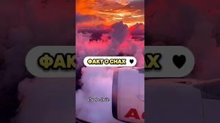 Факт о снах #факты#shorts  #психология  #рекомендации