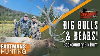 Big bull walks right to us! Backcountry Elk Hunt with Guy Eastman | Eastmans' Hunting TV