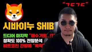 시바이누 SHIB [긴급] 드디어 "때가 온건가..!" 정확도 100% 전망분석, 비트코인 간밤에 "폭락...!" 도미넌스 하락 시작? #코인시황