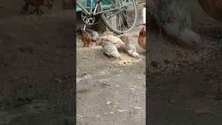 Що у нас поїсти