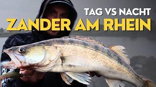 SO FÄNGST DU ZANDER! - Zanderangeln am Rhein 