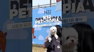 N32 PET-TOPIA