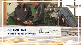 The work of a potato breeder | All aspects | Den Hartigh 