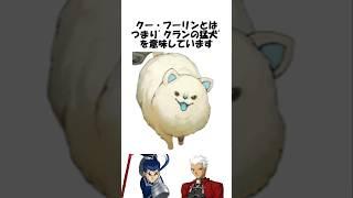 【FGO】クー・フーリンに犬と挑発してはいけない理由 #fgo #fate