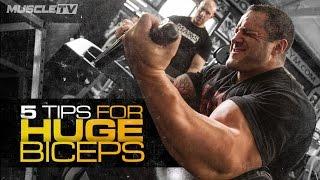 5 TIPS FOR HUGE BICEPS