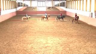 REITEN und ZUCHT-Video: Reitlehre - Abstände ausgleichen