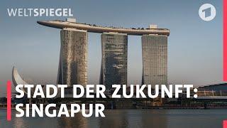 Singapur: Zukunftsstadt in den Tropen | Weltspiegel Reportage