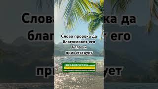 Слова пророка да благословит его Аллах и приветствует | #quran #религия #ислам