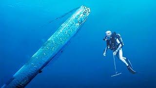 Oarfish | This Legendary Fish That Announces Tsunamis