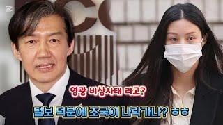 털보 덕에 조국 나락가나? ( 어쩔아재 라이브방송 )