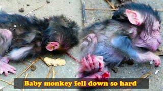 The baby monkey fell so hard, what did the mother monkey do to make the baby monkey fall?