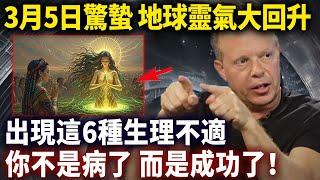 注意！3月5日驚蟄地球陽氣回升靈氣暴漲，出現這5種生理不適別害怕，你不是病了，而是成功了#意識能量#心靈療愈#乔迪斯本扎Dr. Joe Dispenza