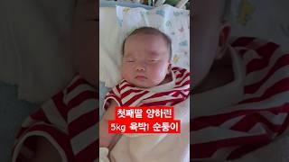 3인3색 우리 아이들 잠자는 모습과 가장 큰 특징은? #세쌍둥이 #육아브이로그 #육아일기 #육아일상 #염창동 #아기잠