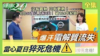 夏日爆汗 電解質流失 ！當心猝死危機！如何保持身體 鈉平衡 ？ 健康2.0 20200715 (完整版)