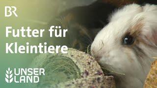 Meerschweinchen und Kaninchen: Futter für Kleintiere | Unser Land | BR Fernsehen