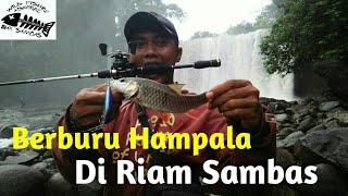 Berburu Hampala Di Riam Sambas 2 @Kumpai Angler