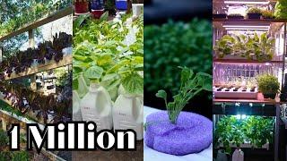 Hydroponics in 2024 with 1 Million Followers