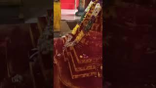 #templetour#shorts#yt#trending #ammadeevenashailaja#tredition#bhakti#sitaramaraju#harikrishna#amma