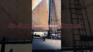 Nearing 1000 Followers: Sailboat Journey to New Social Media Heights!#followers
