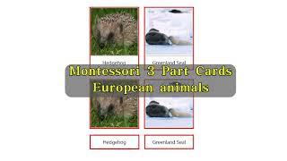 Montessori 3 Part Cards European animals 三段卡 欧洲动物