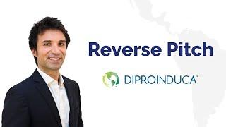 Diproinduca - Pitch 2024