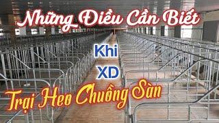 Trại Lạnh Nuôi Heo Được Xây Dựng Như Thế Nào? | khởi nghiệp TV