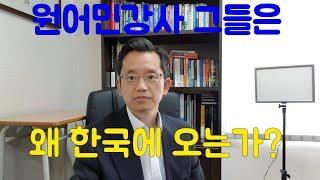 원어민 영어강사 그들은 왜 한국에 오는가?