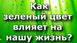 Как зеленый цвет влияет на нашу жизнь?