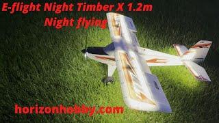 E-Flight Night Timber x 1.2m night flying