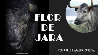 GANADERIA FLOR DE JARA