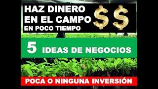 COMO HACER DINERO EN EL CAMPO, 5 IDEAS DE NEGOCIOS EN EL CAMPO. EMPRENDIMIENTO A CORTO PLAZO.