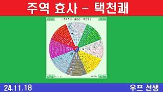 주역 효사, 택천쾌, 우프 선생, 2024년 11월 18일, 월요일