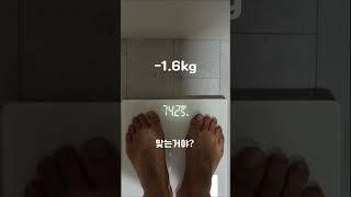5일동안 1일1식으로 햄버거만 먹으면? #다이어트 #먹방