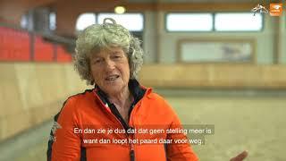 KNHS Tips van de Top: Stelling en buiging