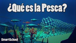 ¿Qué es la Pesca? | Vídeos educativos para Niños