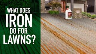 What does Iron do for lawns?