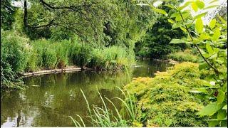 Regent’s Park in London |Beautiful and natural view in London|