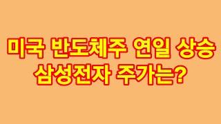 미국 필라델피아 반도체 지수,반도체 관련주들 연일 상승!  삼성전자 주가의 상승을 기대 하면서..