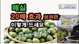 매실 이렇게 드시면 보약 효과 본다