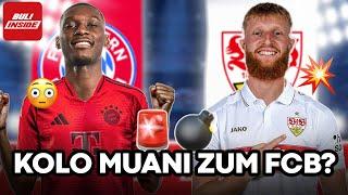 KOLO MUANI zum FC BAYERN? VfB STUTTGART an BESTE dran!