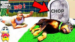 Who KILLED CHOP in GTA 5 ? Franklin Find | SHINCHAN and CHOP