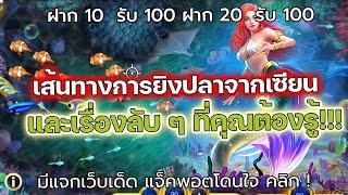 PG slot ฝาก25รับ100 ล่าสุด ฝาก15รับ100ล่าสุด