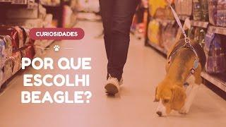 Por que escolhi ter uma Beagle?