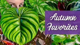 Fall's BIGGEST Surprises! My 10 Plants That Stole The Show