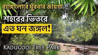 Half Day Trip in Bangalore | Kadugudi Tree Park | Bhromon India