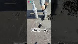 DIY挖西施舌神器...找到洞,真的10秒就一顆#Shorts