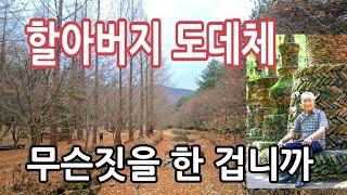 할아버지가 4년간 만든  예술작품ㅣ사람들이 계속 찾아 오네요