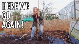 PLANTING BARE ROOT FRUIT BUSHES / ALLOTMENT GARDENING FOR BEGINNERS