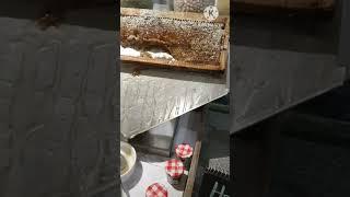 Honey From Himalayas | Hotel Taj Breakfast Meal | #HotelTaj | #shorts |#youtubeshorts || Hamara Ghar