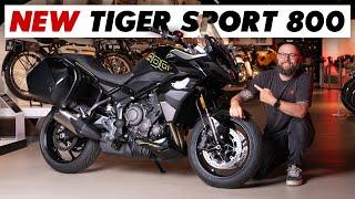 New 2025 Triumph Tiger Sport 800 Announced: Full Specs & Price!